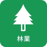 林業